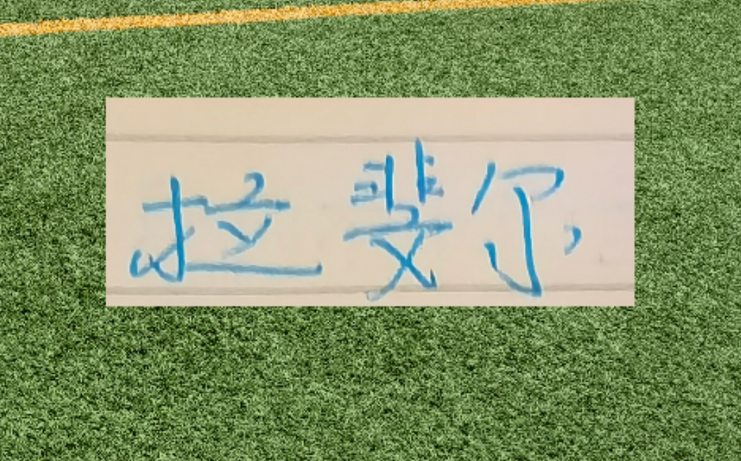 世界杯高清观看app-第一个赛季马莱莱进15个 路易斯21个 申花两条大鱼能进几个？